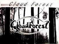Cloud Forest : Cloud Forest - Demo